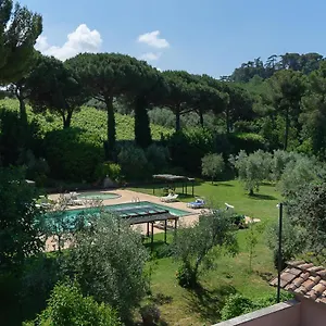  Apartment Frascati